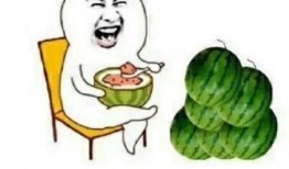 娱乐吃瓜简介,揭秘明星幕后吃瓜大事件